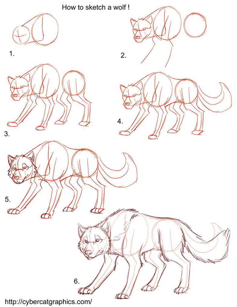 How to Draw a Wolf Tutorial by lady-cybercat on DeviantArt