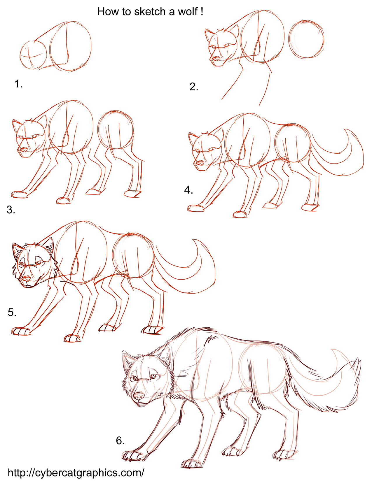 How to Draw a Wolf Tutorial