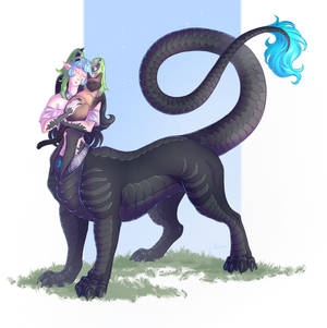 Finished Ych
