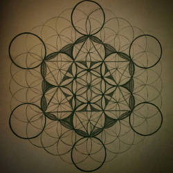 flower of life 