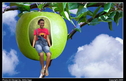 : : merry in the apple : :