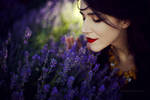 Smell of lavender by NataliaCiobanu