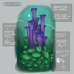 Nomads - Vegetation 1/2