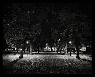Ruttopuisto 2 by MichalTokarczuk