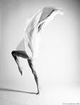 White Wings by MichalTokarczuk