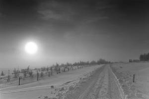 Iceland - still alone