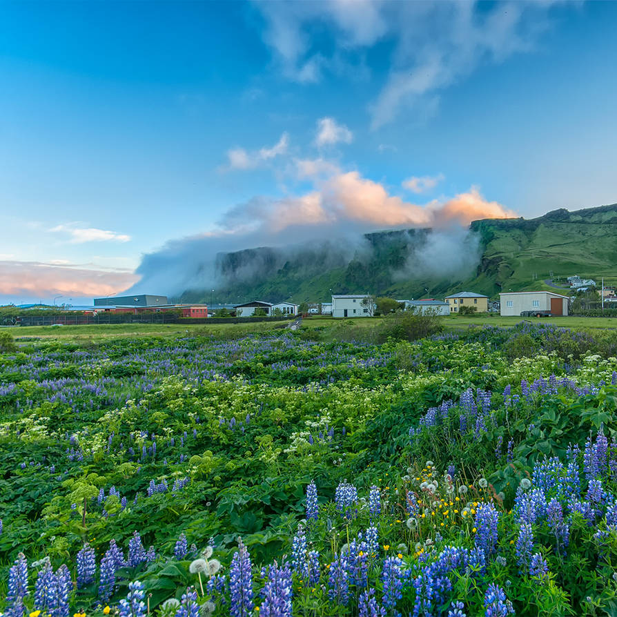 Vik i Myrdal by PatiMakowska