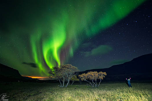 African prairie- in Iceland