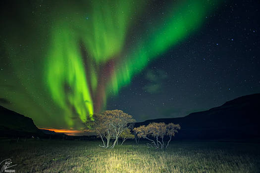 African prairie- in Iceland