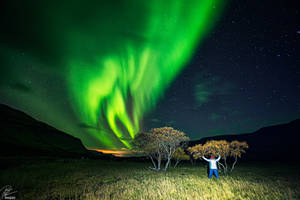 African prairie- in Iceland