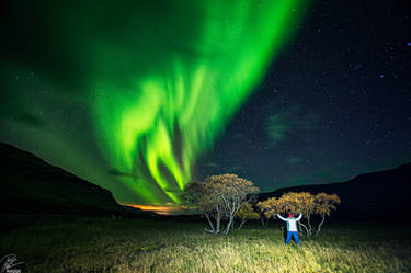 African prairie- in Iceland
