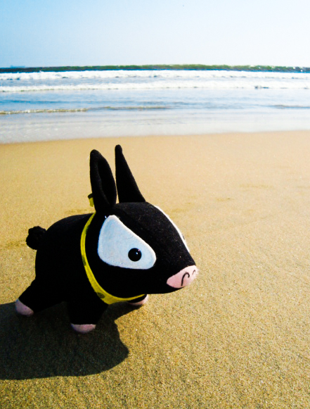 P-Chan on the Beach