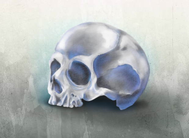 Skull