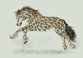 Snow Leopard Horse