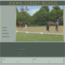 HEWA Finest Blood Ref Template