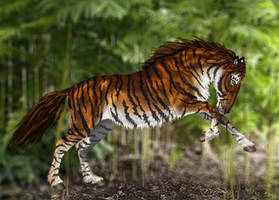 Equine Tiger