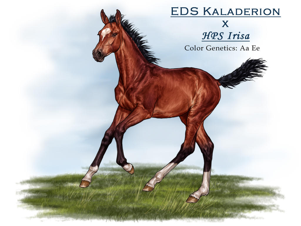 Kaladerion X HPS Irisa