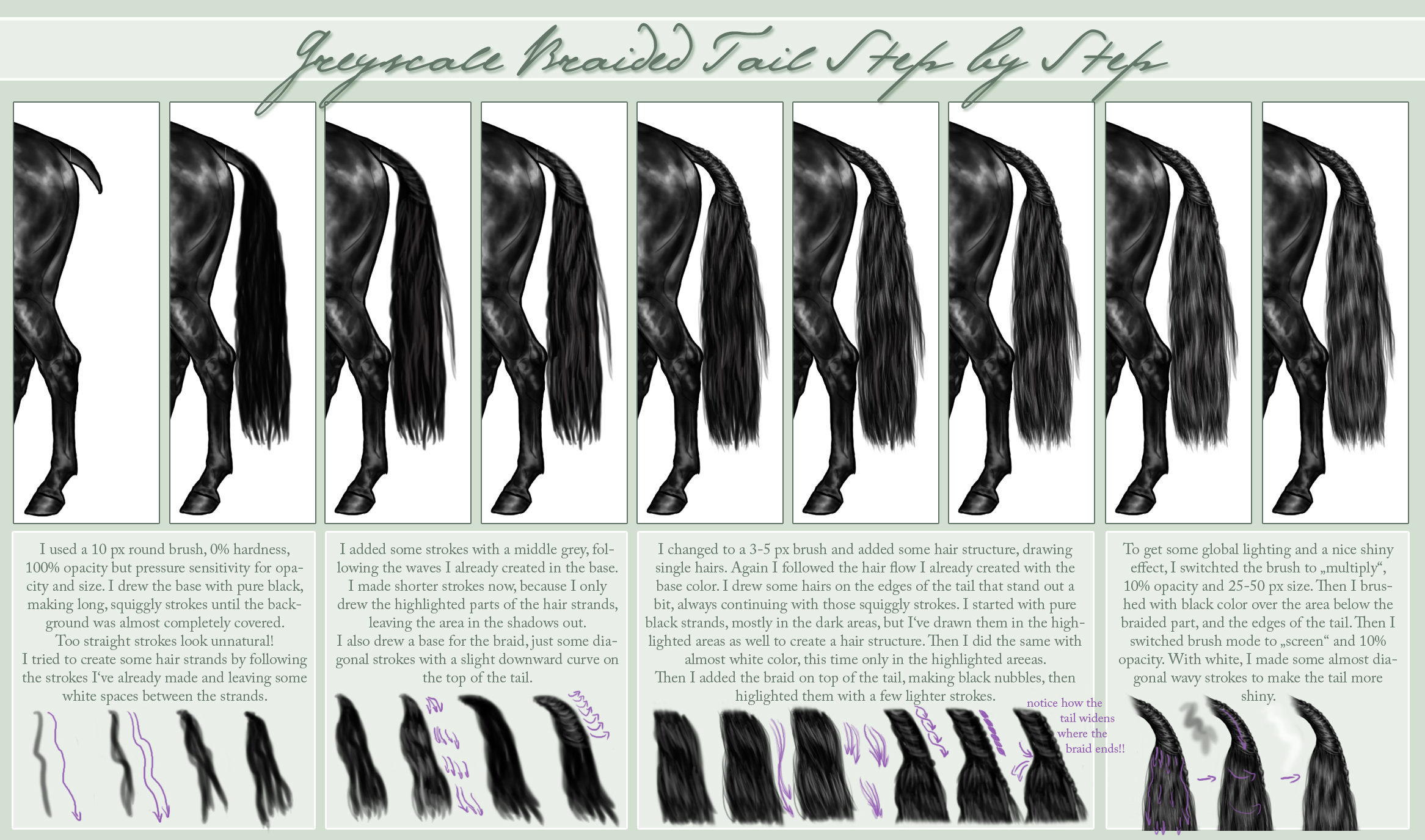 Braided Tail Step by Step