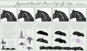 Braided Mane Step by Step