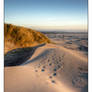 Fading Footprints - HDR