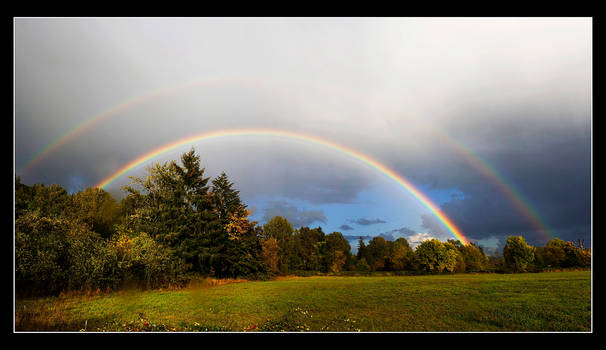 After the Storm