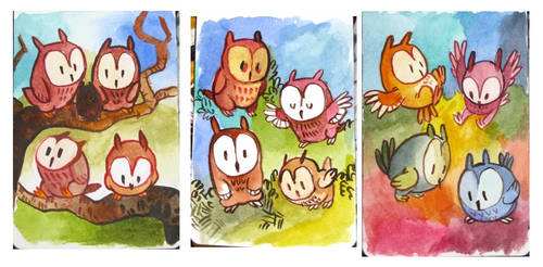 owls