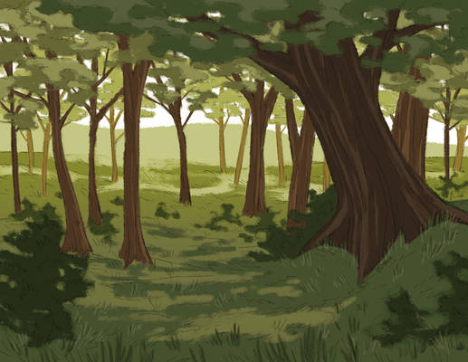 more forest practice