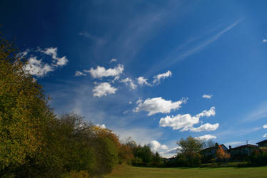 Fall Skyline