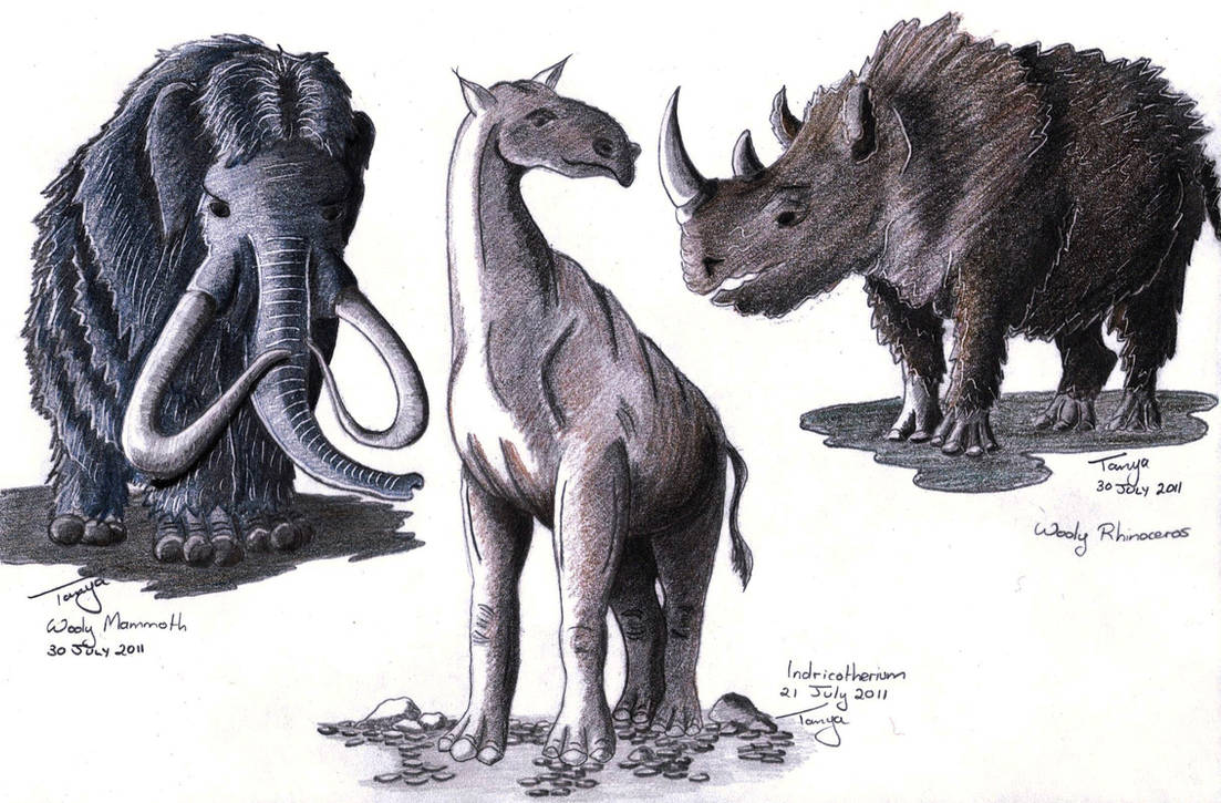 Prehistoric Mammals by Elentarri