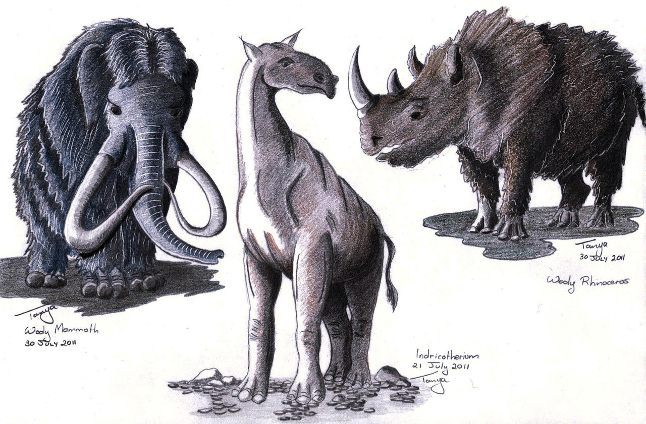 Prehistoric Mammals by Elentarri