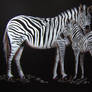 Zebra and Foal