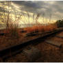 Train Tracks I