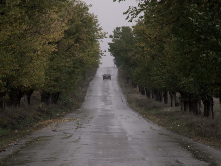 Leaving all behind by iulikamd