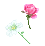 Pixel Flower Studies by rainedragon