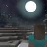 Minecraft on night