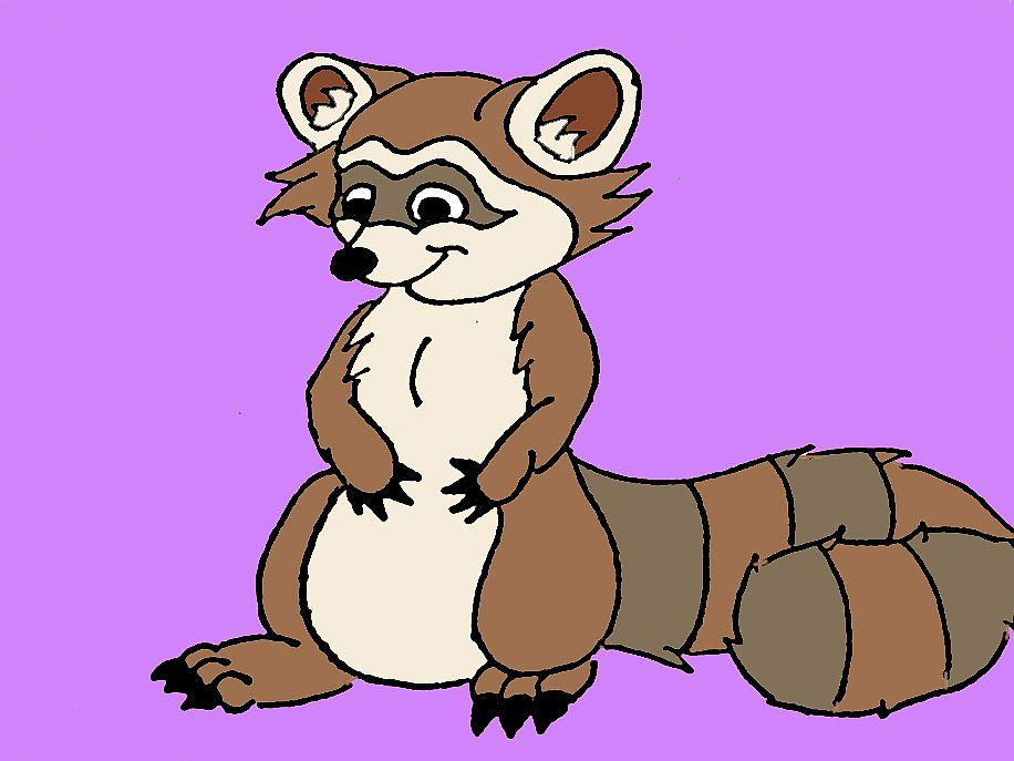 Rowdy Raccoon by ranmafan1 on DeviantArt