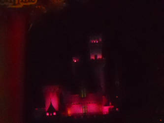 Disneyland Castle At Night