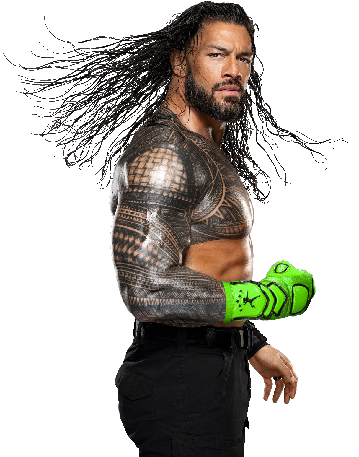 Roman Reigns Green PNG 4 by SuperAjStylesNick on DeviantArt