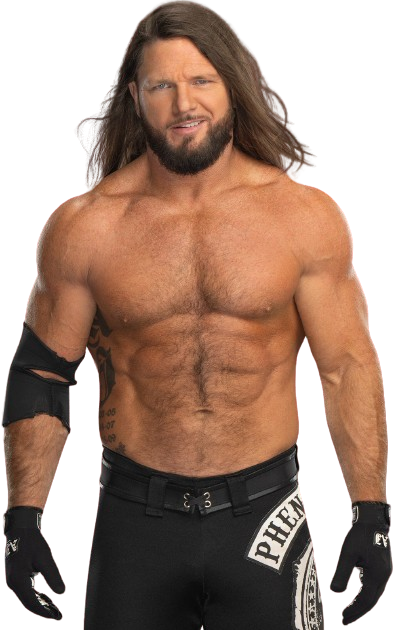 Action Figure WWE AJ Styles - Giocattolo Articolato 15cm Per Action Figure WWE AJ Styles - Giocattolo Articolato 15cm Per