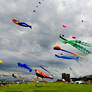 New Brighton Kite Festival