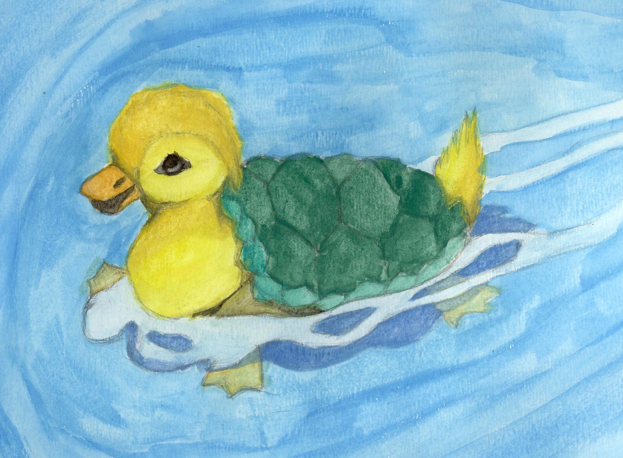 Turtle-Duck