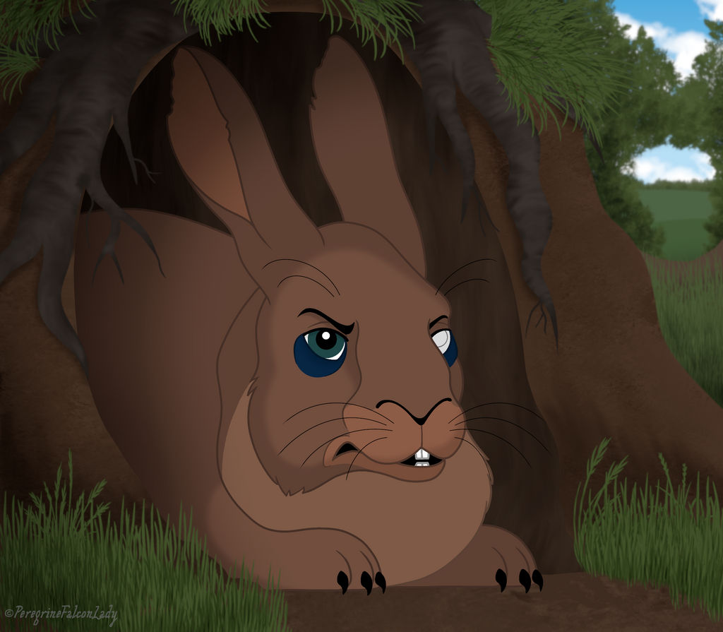 What Is Rabbit General The General by PeregrineFalconLady on DeviantArt