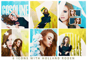 Holland Roden Iconset