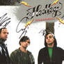 Hedley, plus signitures
