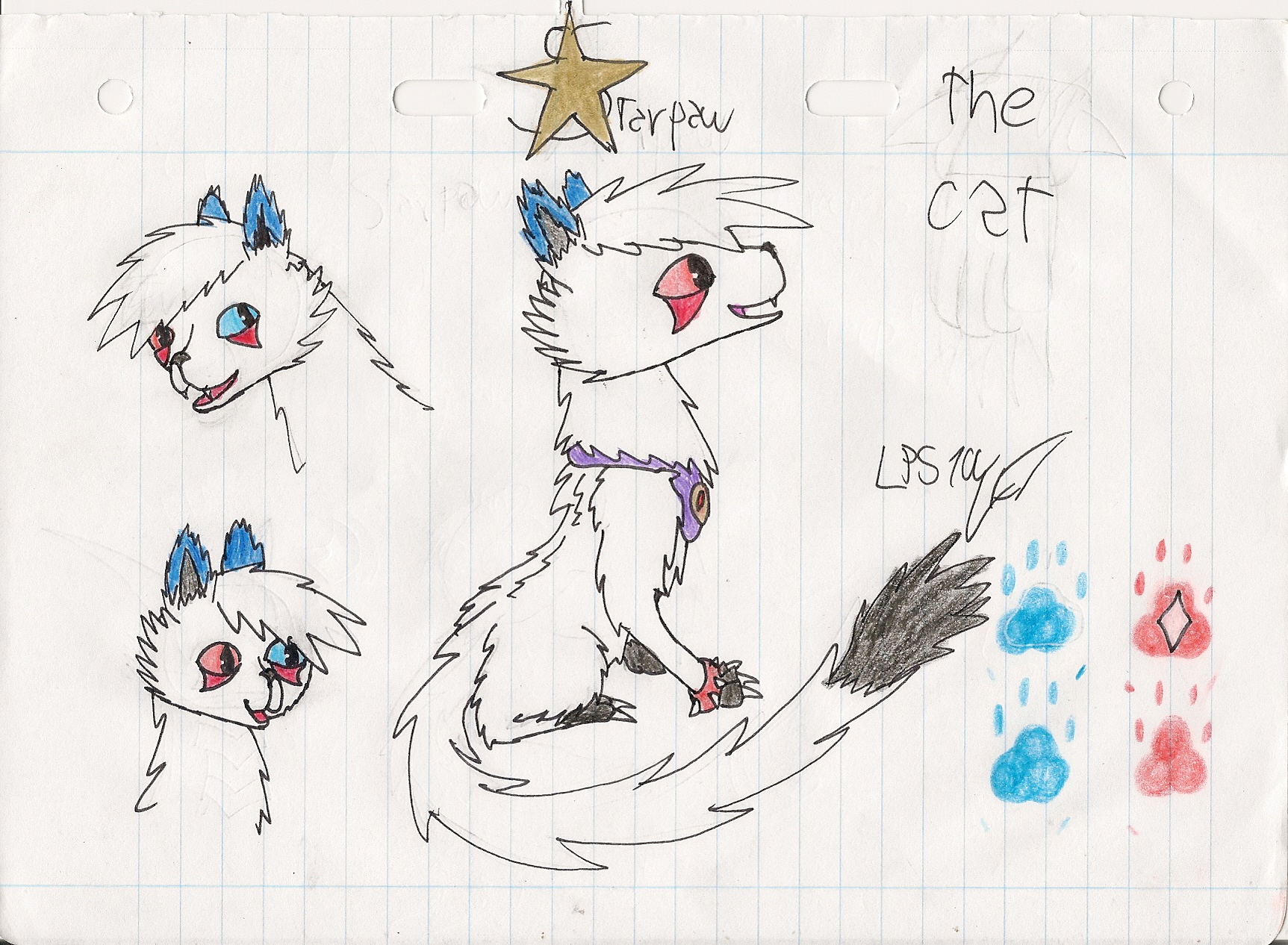 -DR- Starpaw the Cat