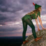 Recreate Peter Pan Series: 8
