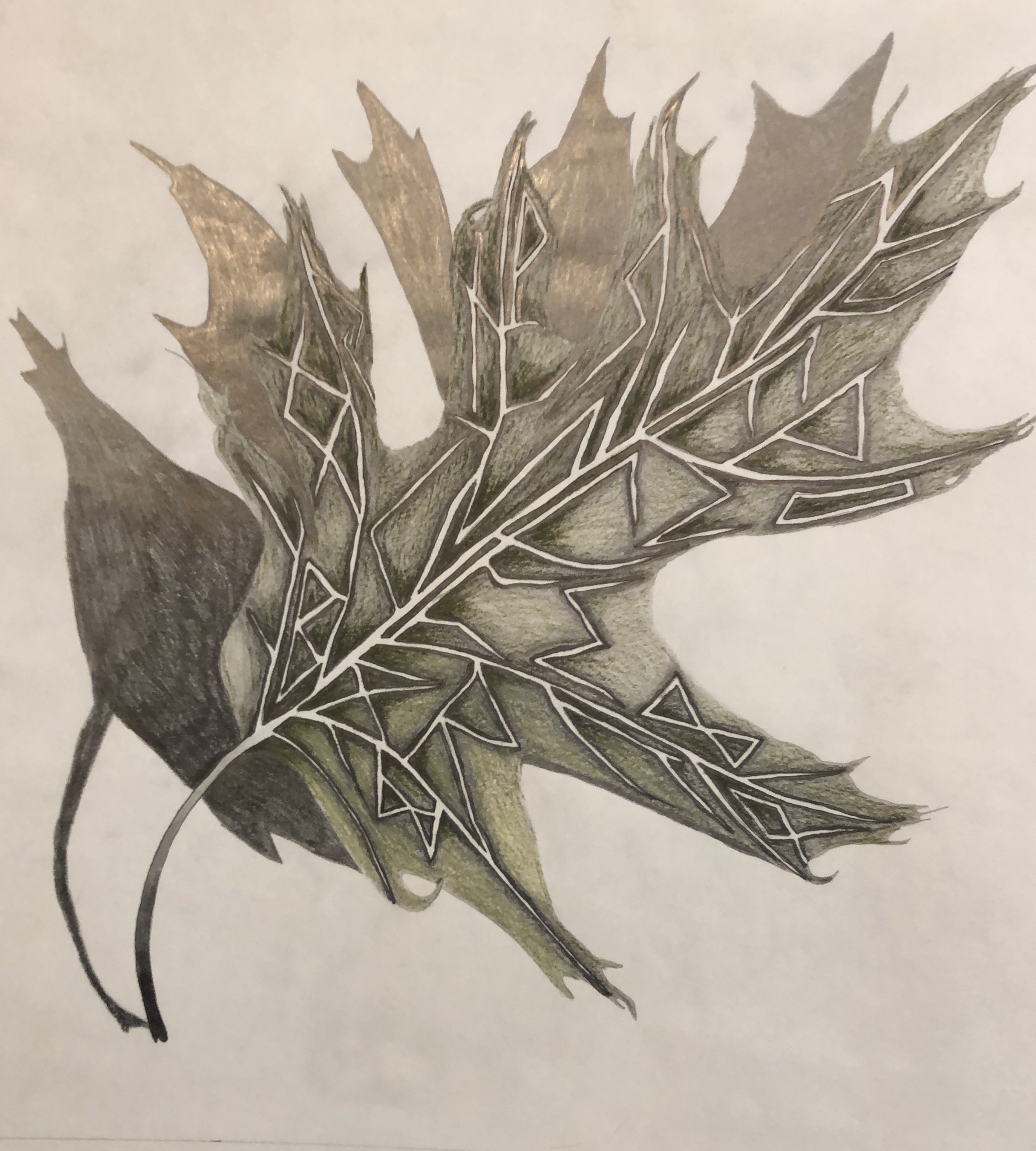 Rune Leaf by MtnPunk on DeviantArt