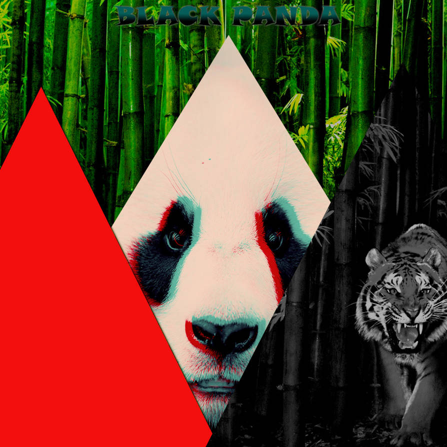 black panda new mixtape cover draft 1 by blackpanda242 on DeviantArt