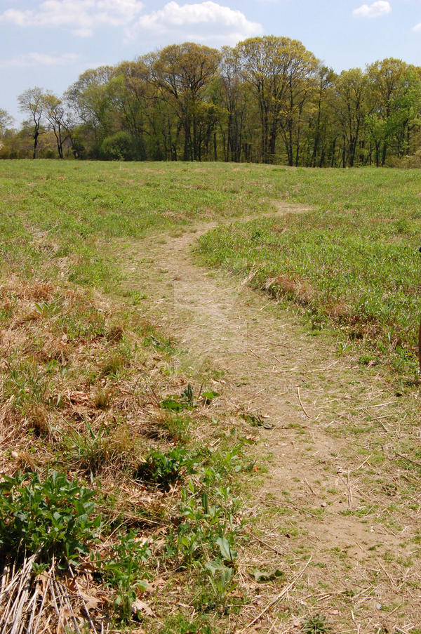 winding path by yeahd00d on DeviantArt