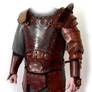 leather armor Dragon